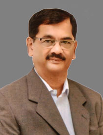 Lion Mangesh Doshi