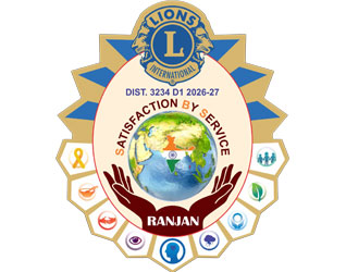 Lions Pin